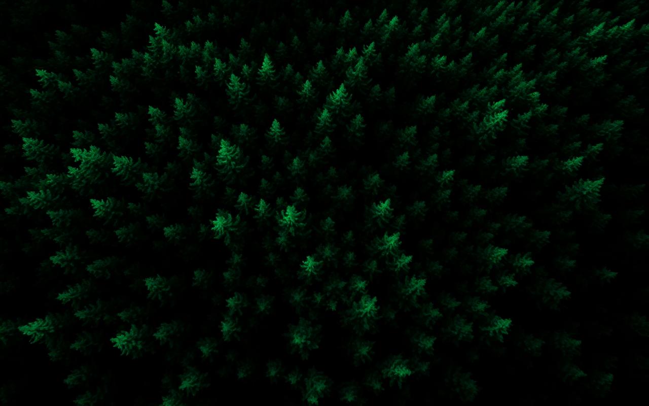 Forest Canopy Analysis